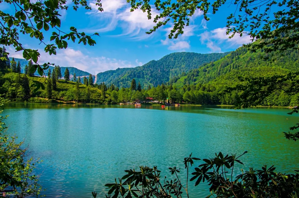 Artvin