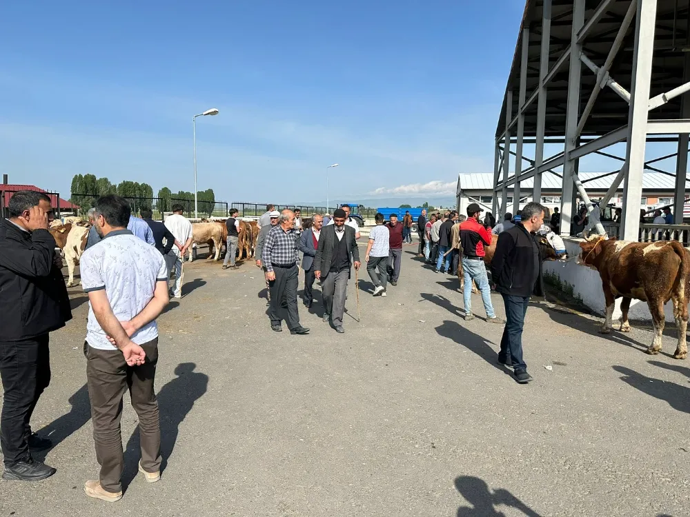 Horasan Belediyesi Zabıta Ekipleri Canlı Hayvan Pazarında Denetimlerini Sıklaştırıyor