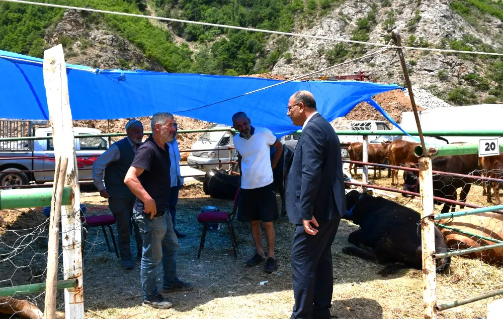 Artvin Belediye Başkan Vekili Seyfi Pişkin Kurban Pazarını Ziyaret Etti