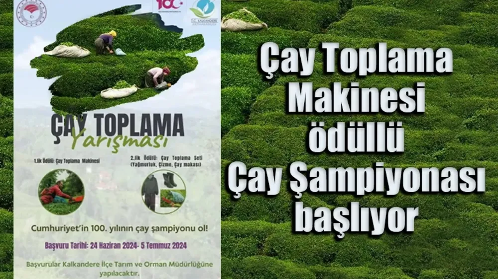 Çay Toplama Makinesi ödüllü Çay Şampiyonası başlıyor