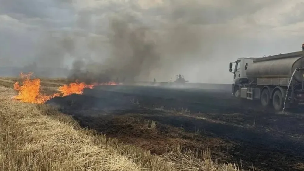 Cizre’de yıldırım yangına neden oldu: 360 dönüm buğday küle döndü