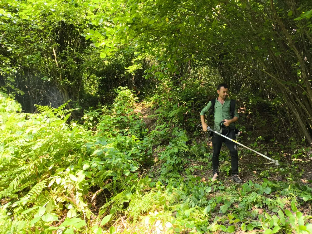 Arhavi Belediyesi, Ciha Orman Parkı Projesi İçin Hazırlıklara Başladı