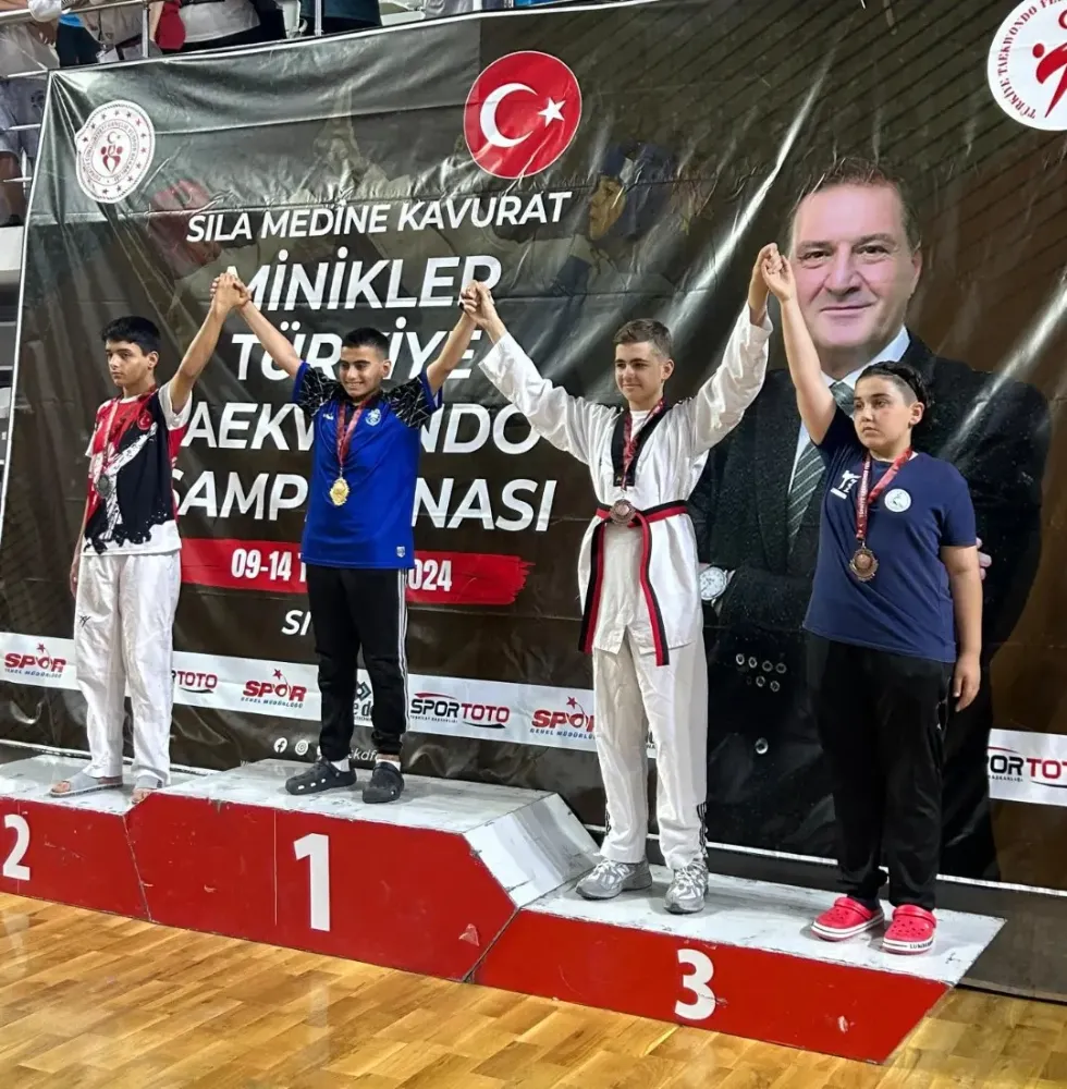 Efe Bayraktutan, Tekvando Minikler Türkiye Şampiyonası