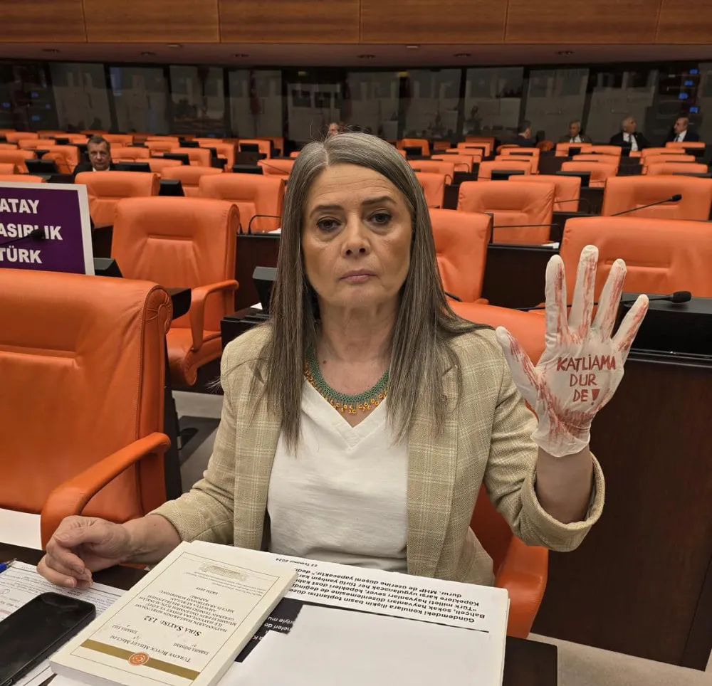 CHP Trabzon Milletvekili Sibel Suiçmez: 