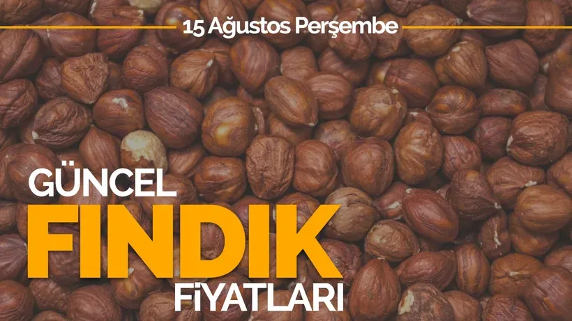 15 Ağustos Perşembe Güncel Fındık Fiyatları