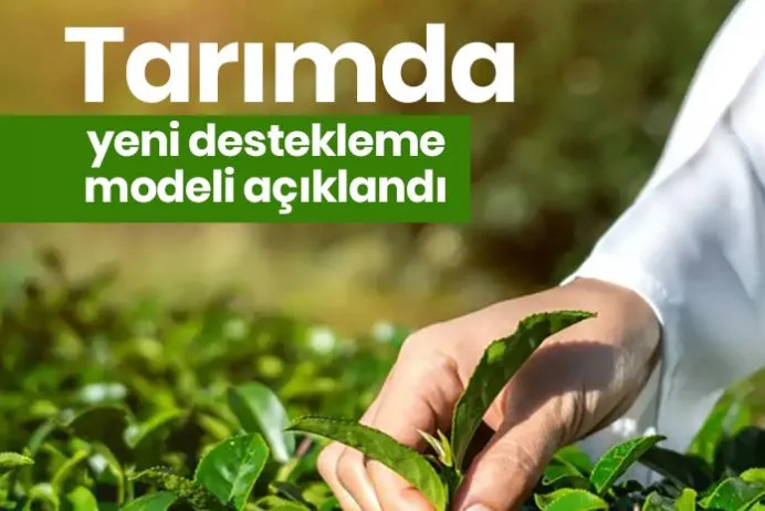 Tarımda Yeni Destekleme Modeli Açıklandı: Çay Üreticilerine Yeni Destekler Geliyor