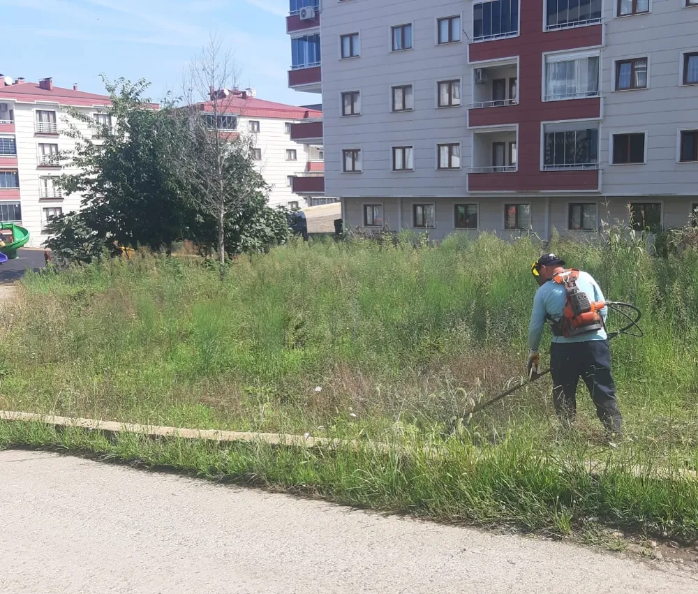 Ahmet Kaya’dan Ortahisar’a Büyük Yatırım: Park Temizliği ve Yol Bakımı Öne Çıkıyor