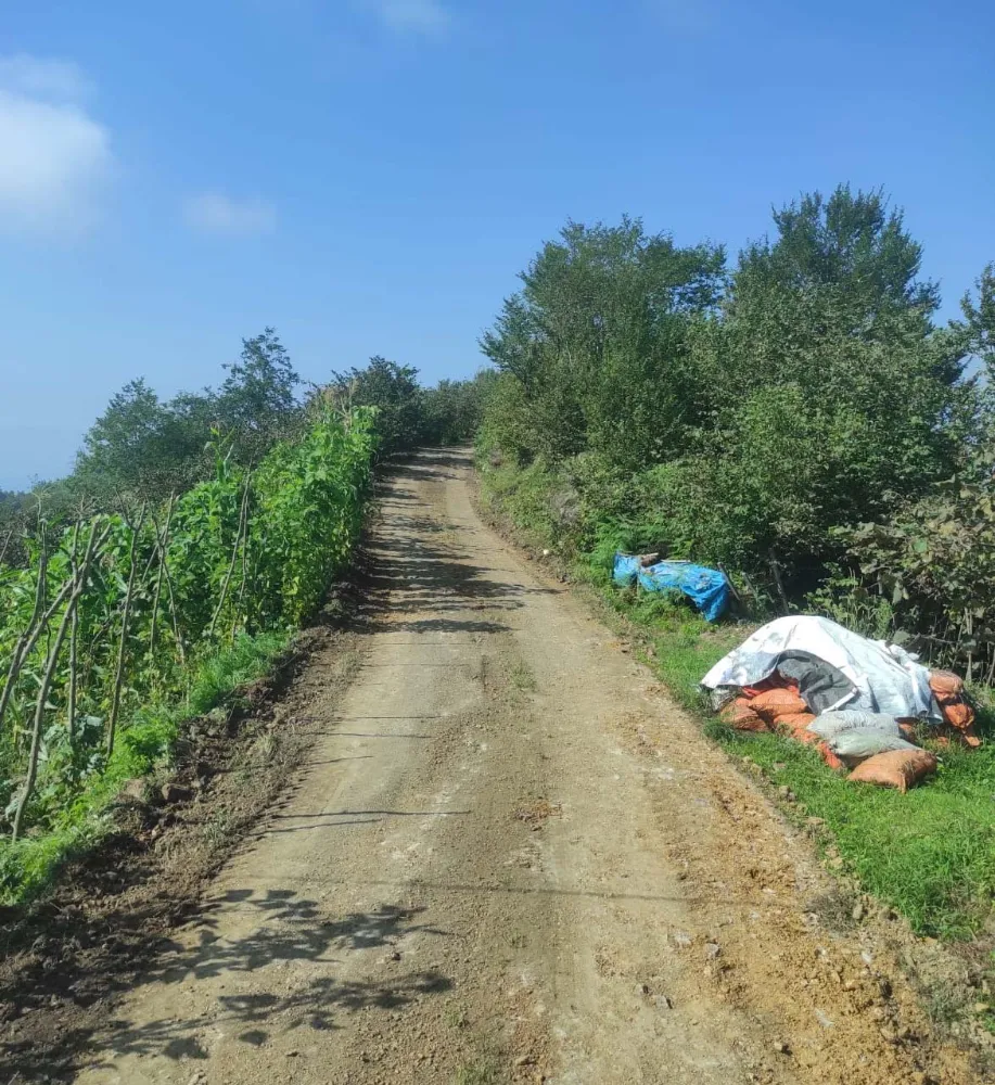 Vakfıkebir’de Parke Tamiratı ve Yol Bakımı Çalışmaları Hızla Devam Ediyor