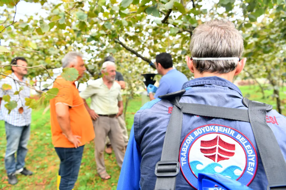 Trabzon Büyükşehir Belediyesi Kahverengi Kokarca ile Mücadeleye Destek Veriyor