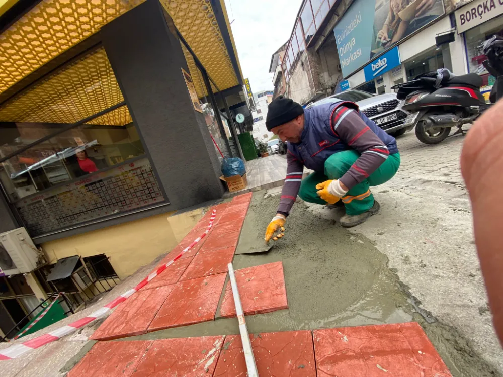 Borçka Belediyesinden Şehirde Güzelleştirme Çalışmaları