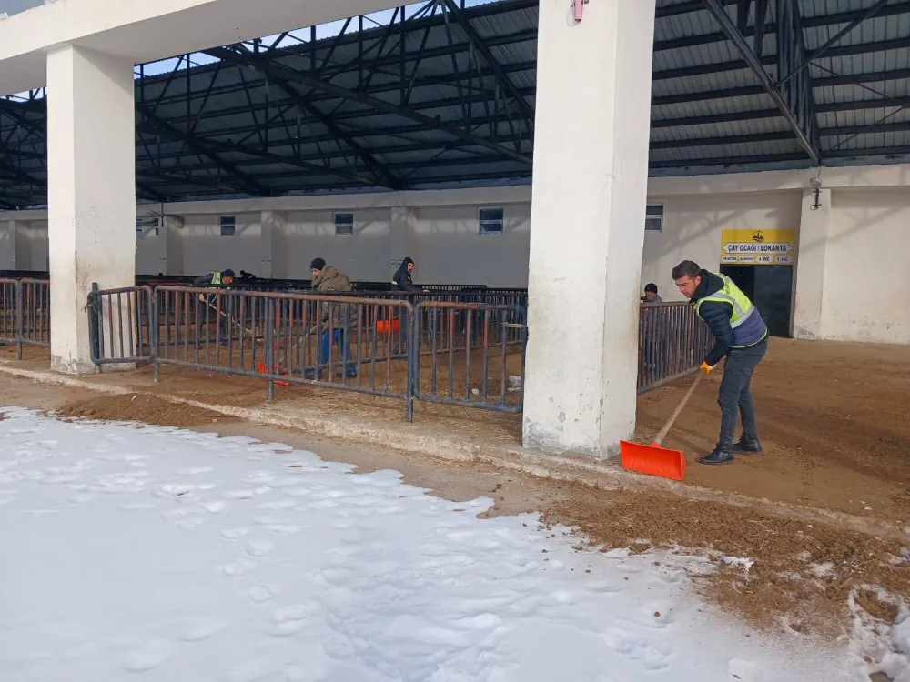 Bayburt Belediyesi Canlı Hayvan Pazarı Yeniden Hizmete Açılıyor