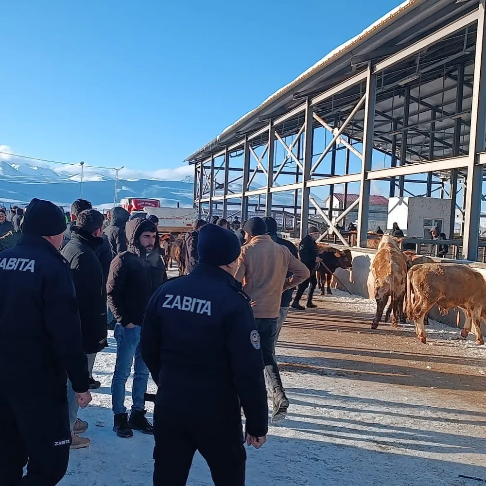 Horasan Canlı Hayvan Pazarı Yeniden Hizmete Girdi