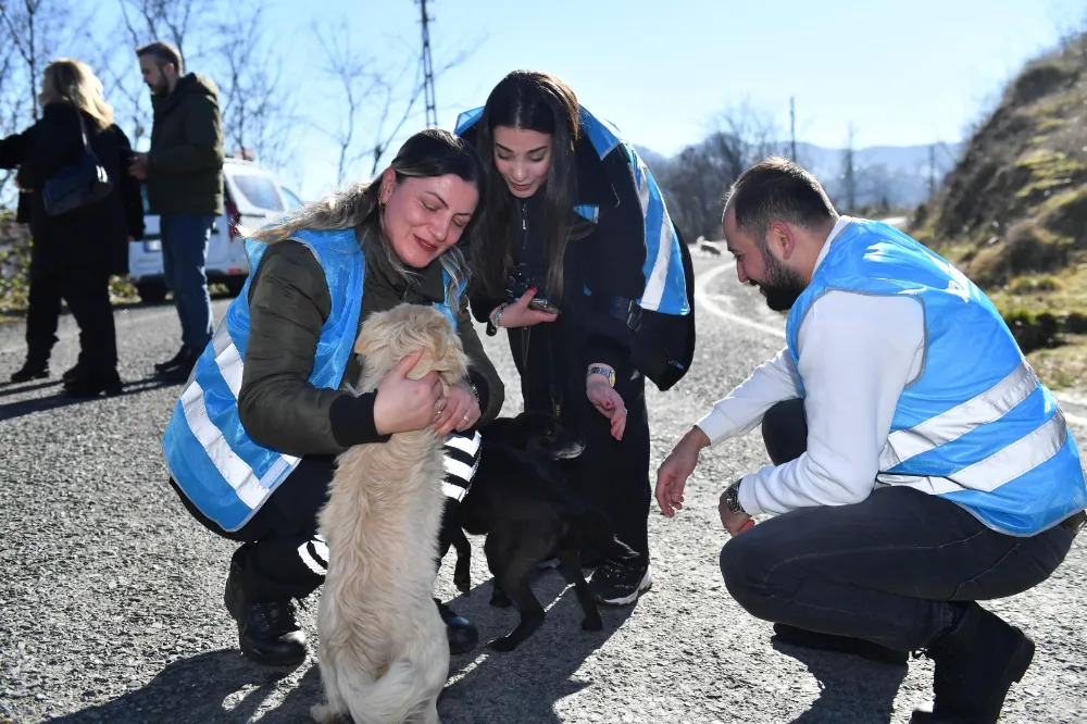 Ortahisar Belediyesi, Hayvanseverlere Mama Desteği Sağladı