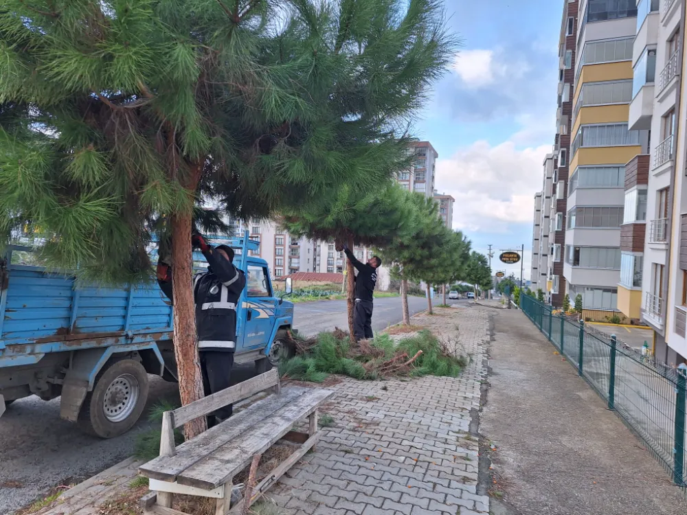 Akçaabat Belediyesi, Park ve Yeşil Alanlardaki Çalışmalarına Kesintisiz Devam Ediyor