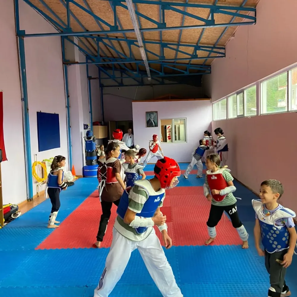 Hopa’da Amatör Spor Haftası Kapsamında Taekwondo Etkinliği Düzenlendi