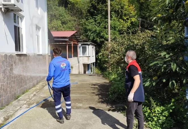 Kahverengi Kokarca ile Mücadelede İlaçlama Çalışmaları Sürüyor