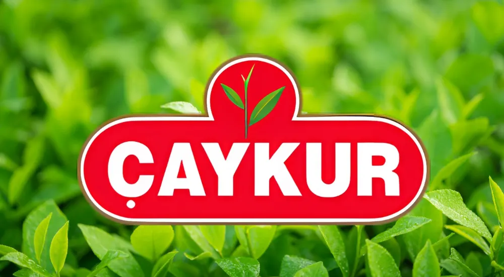 Eylül Ayı Yaş Çay Paraları ve Organik Çay Destek Ödemeleri Yapılıyor