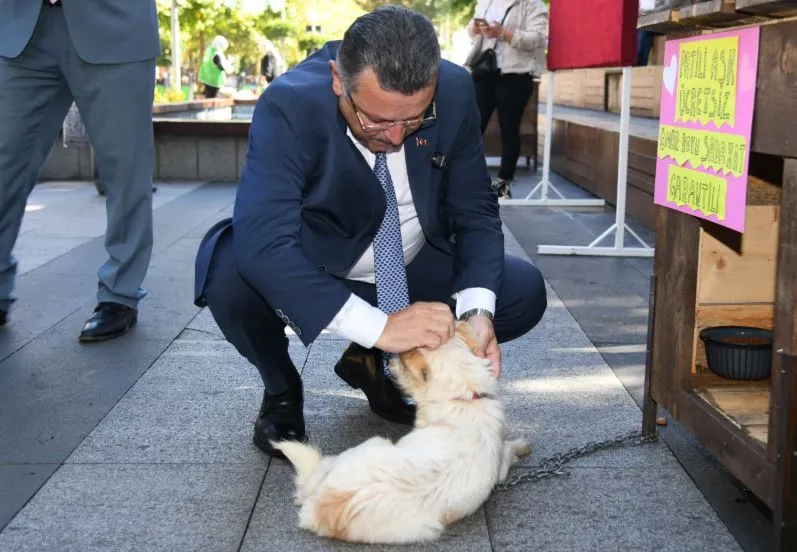 Başkan Genç: Sokakta Yaşayan Her Canlının Bir Sahibi Olmalı