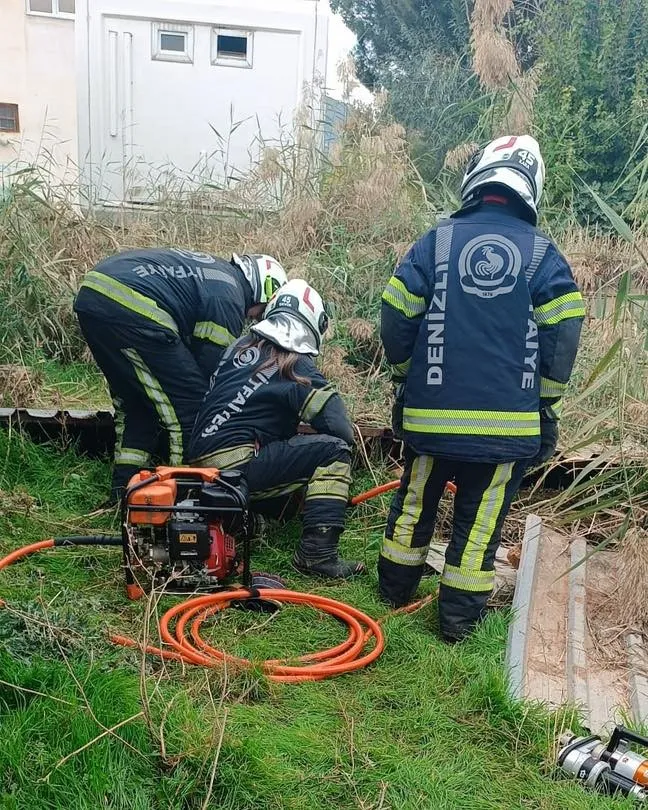 Fosseptik çukuruna düşen köpek kurtarıldı