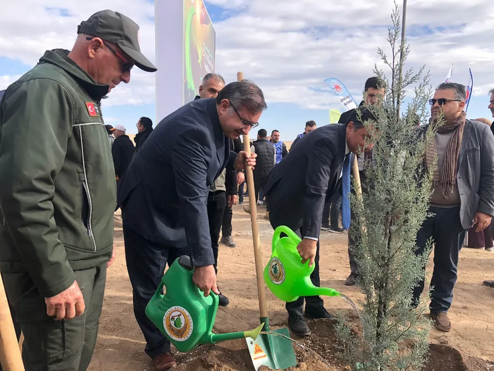 11 Kasım Milli Ağaçlandırma Günü