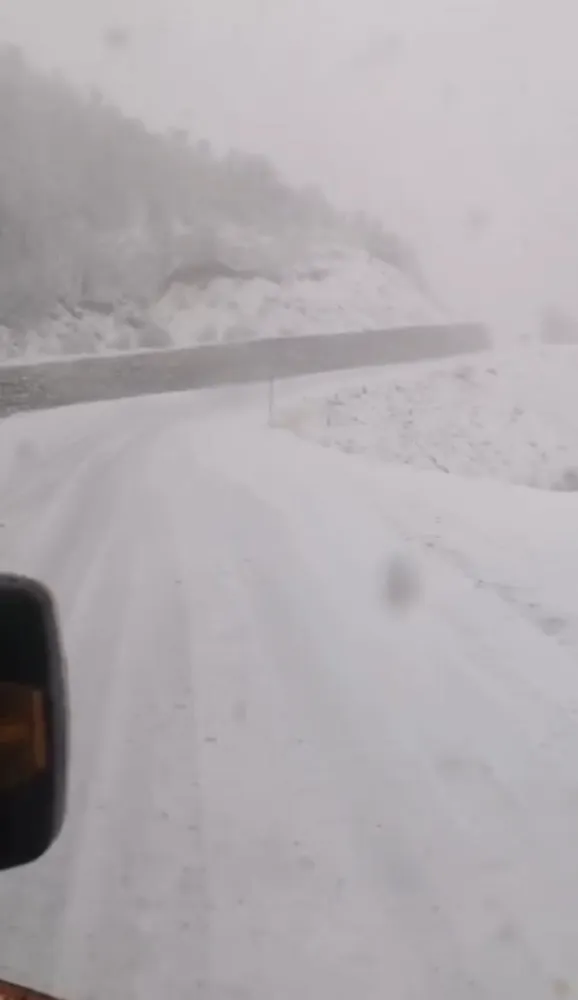 Tunceli’de, kar yağar yağmaz mücadele başladı