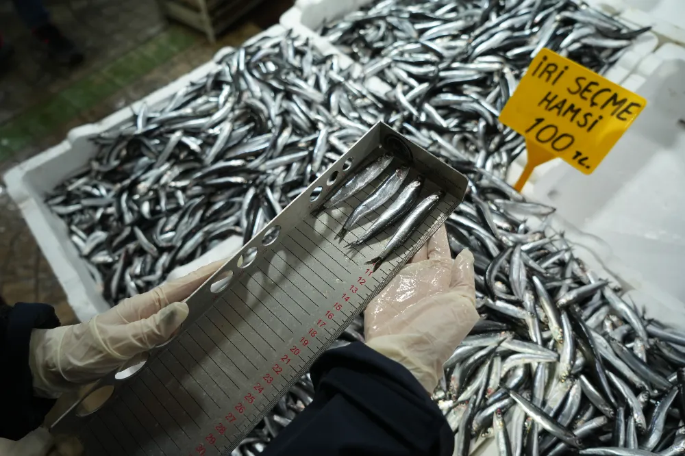 Balık tezgahlarına yakın markaj: 109 kişi ve işletmeye 2,5 milyon TL ceza