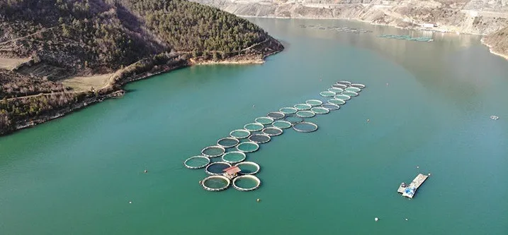 Artvin’den 67 Ülkeye Türk Somonu İhracatı: Bölge Ekonomisine Büyük Katkı