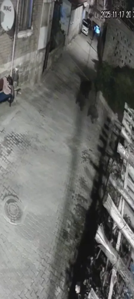 Yerleşim alanına inen ayılar köy sakininden korkup kaçtı