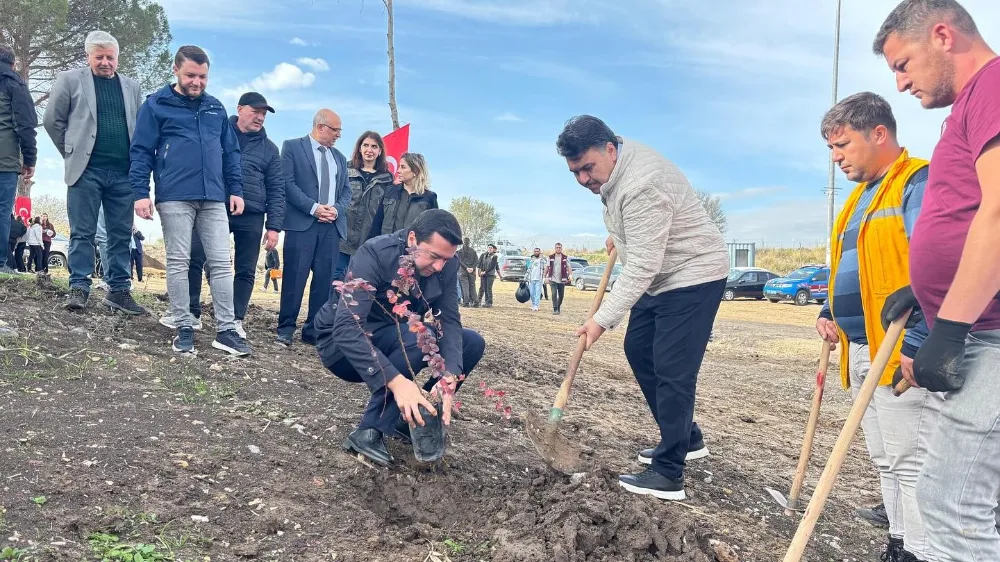 Ağaçlandırma günü etkinliği Havran’da gerçekleştirildi