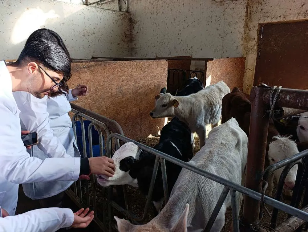 Üniversite öğrencileri Van