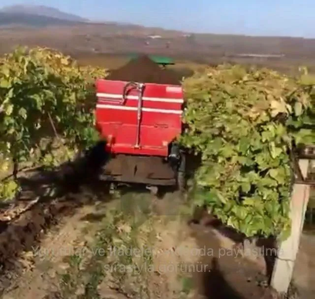 Sarıgöl’de bağlara kışlık doğal gübre verilmeye başlandı