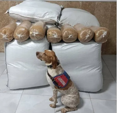 Kırşehir’de yolcu otobüsünde 400 kilogram kaçak tütün ele geçirildi