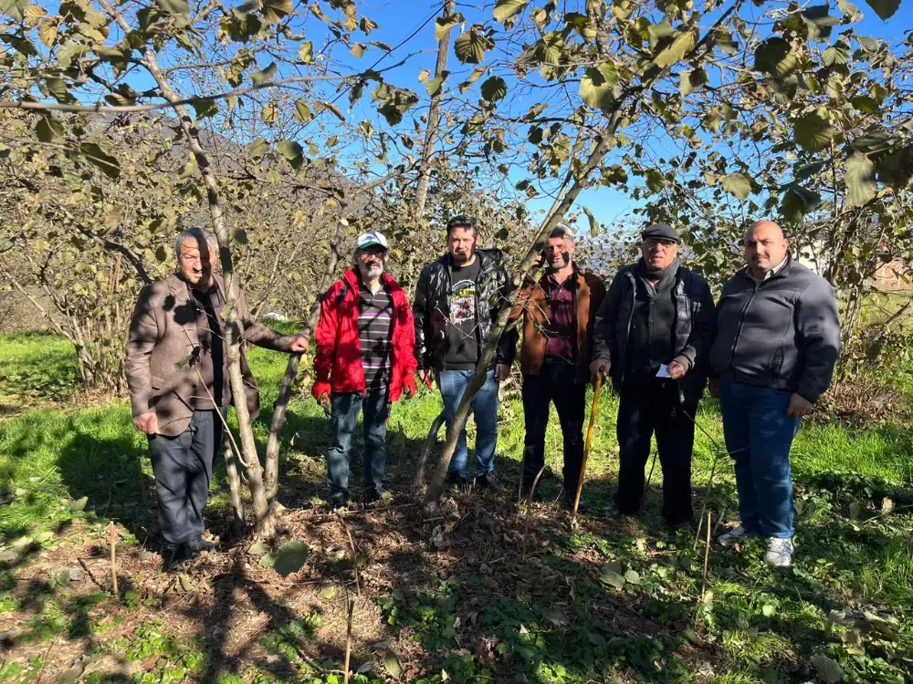 Düzköy’de Fındık Üreticilerine Uygulamalı Eğitim