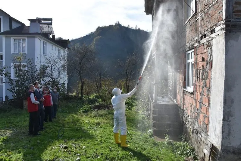 Ordu’da kokarcaya karşı 330 bin kışlak ilaçlanacak