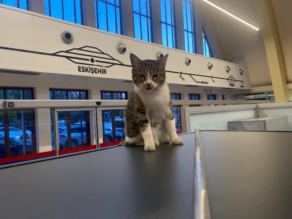 Eskişehir Tren İstasyonu