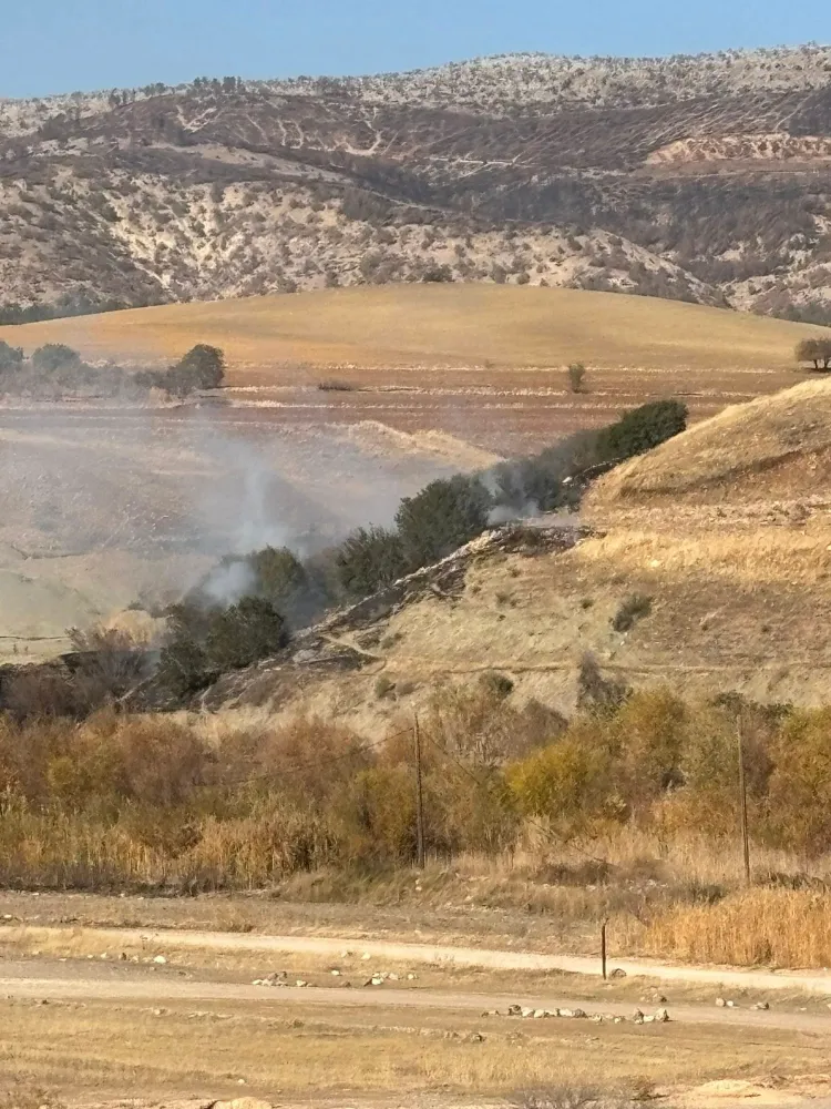 Ormanlık alanda korkutan yangın