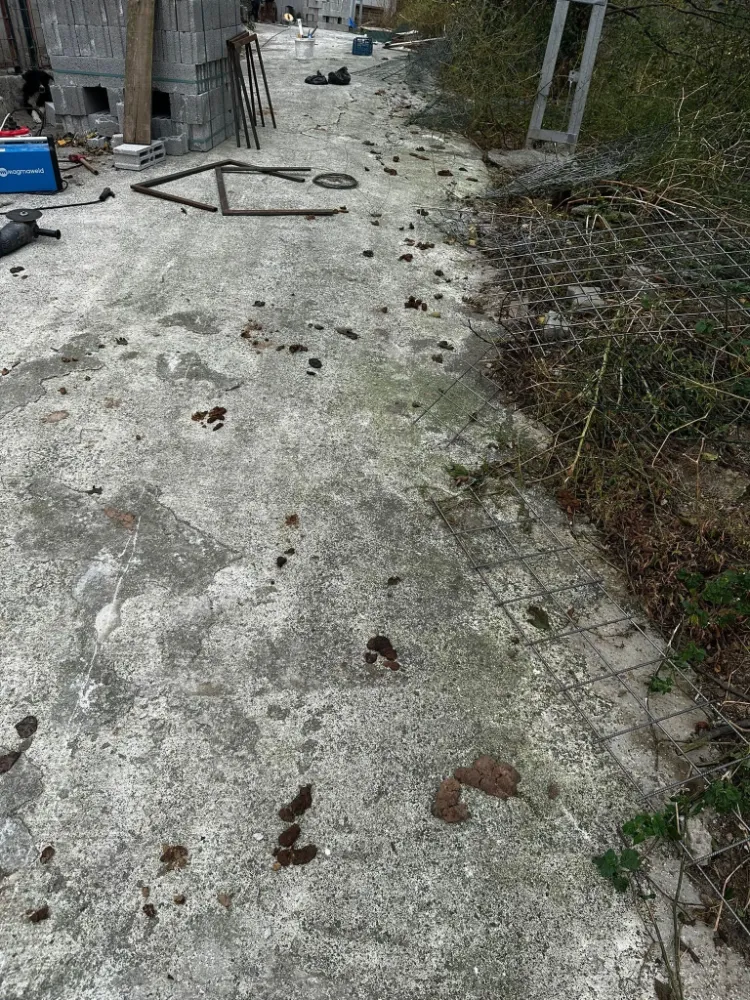 Hopa’da Hayvanseverlerden Tepki: “Bu Koşullar Kabul Edilemez”