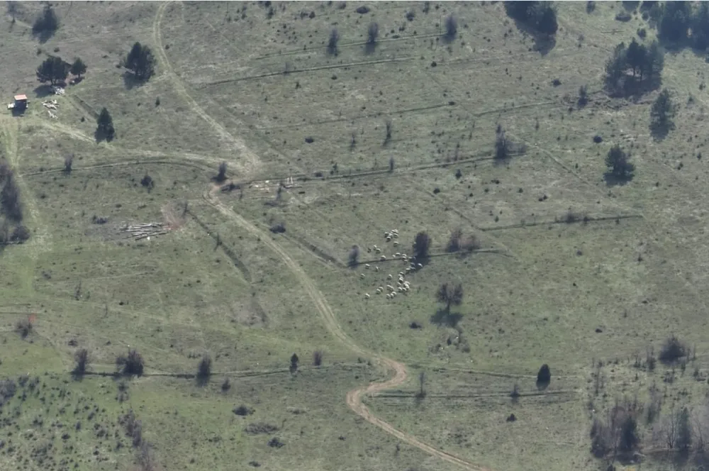 Bolu’da Kaybolan 30 Küçükbaş Hayvan Dronla Bulundu