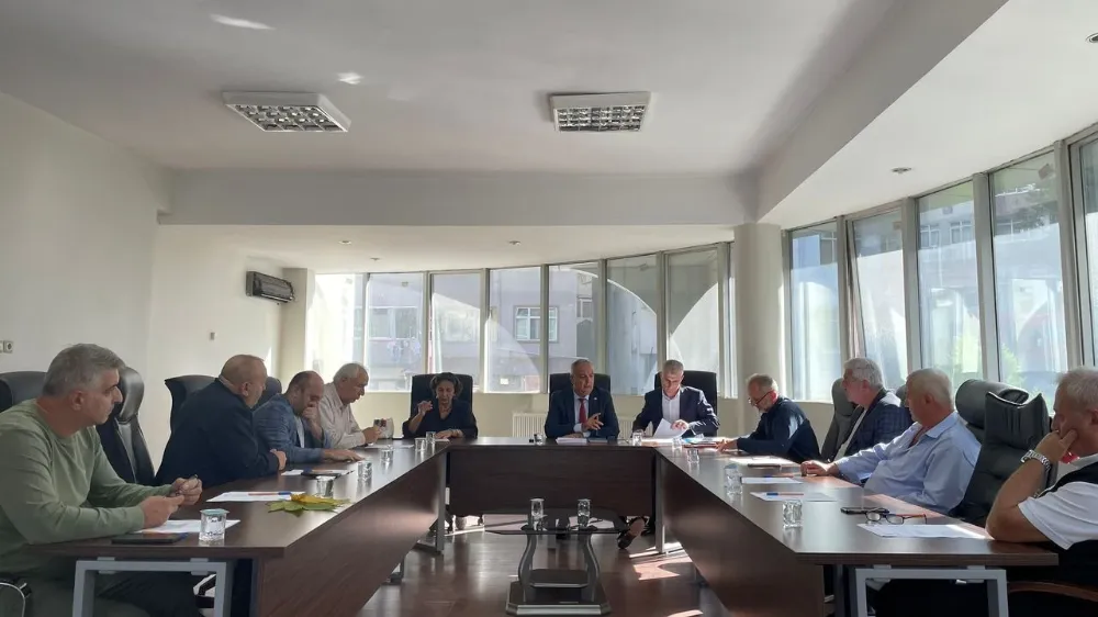 Dolmuş Yok, Zam Var!