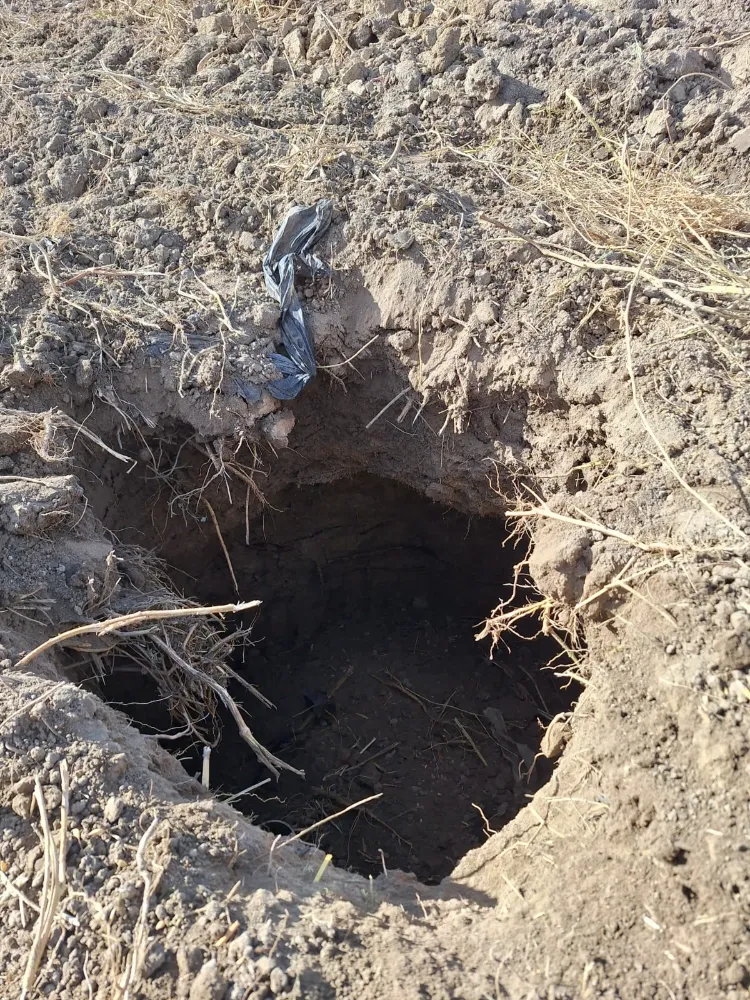 Çivril’de tarlada oluşan obruk korkuttu