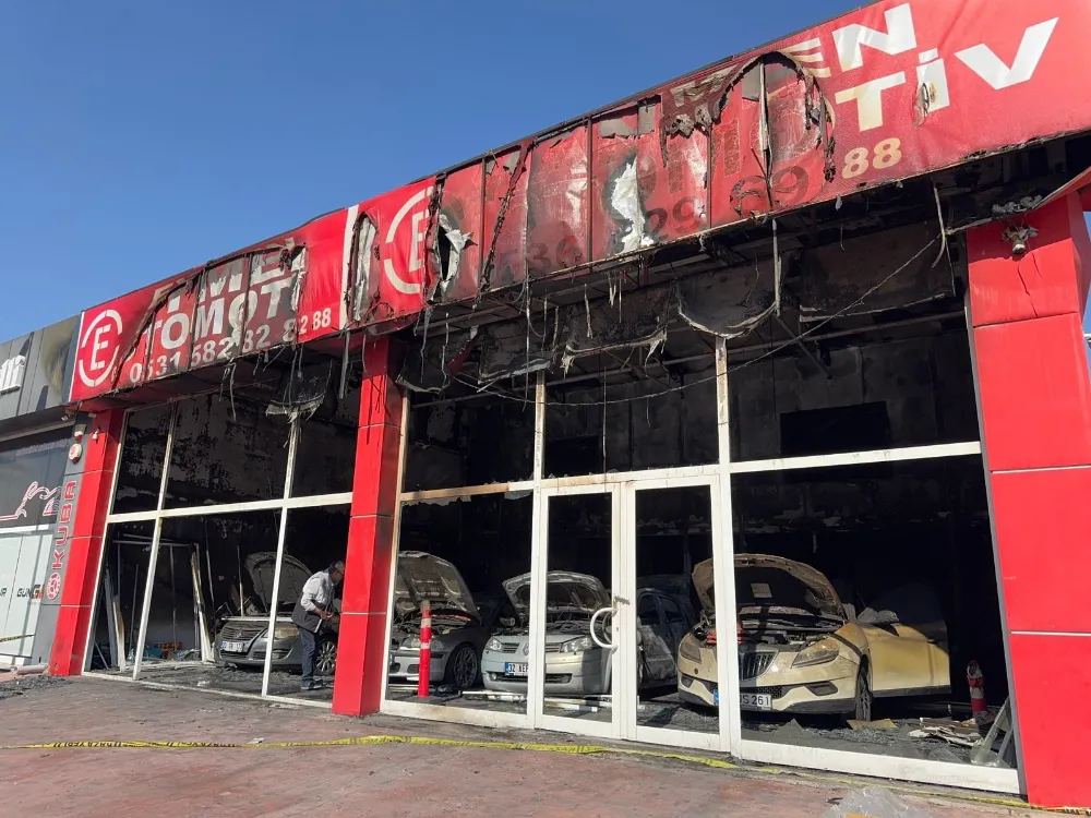 Yakalanan kundakçı suçunu itiraf etti