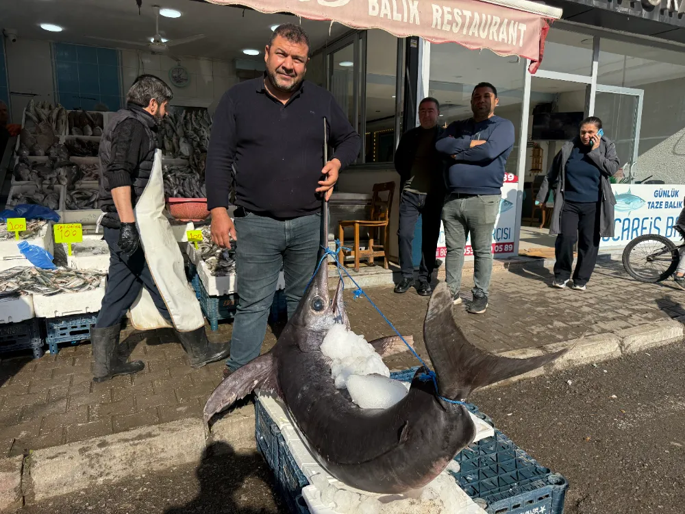 Hatay’da 138 Kiloluk Dev Kılıç Balığı İlgi Odağı Oldu