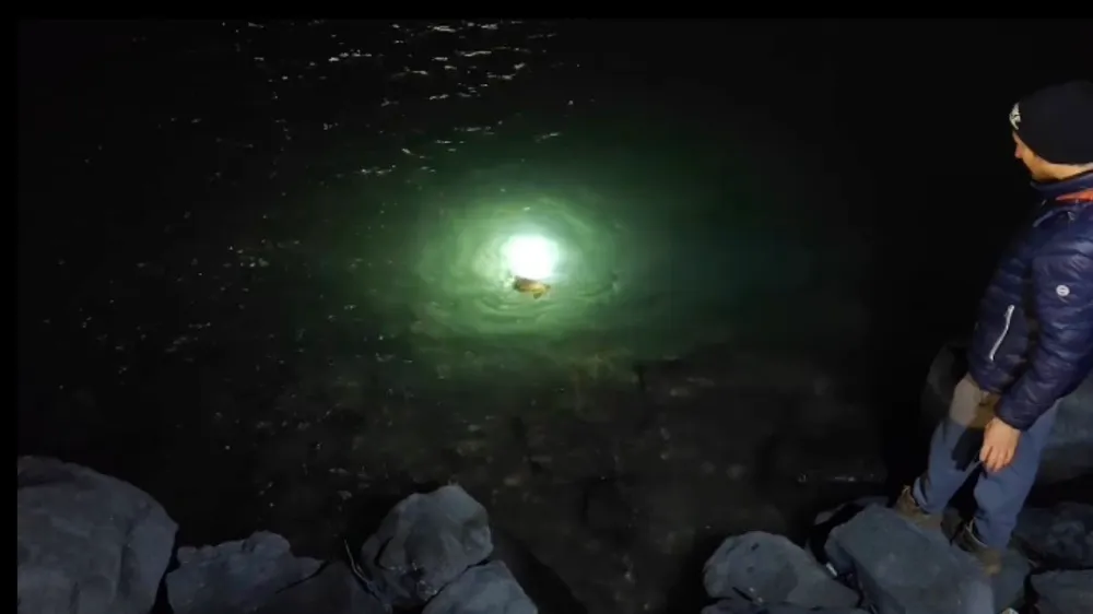 Gökçeada’da Caretta Caretta’yı Misina ve İplerden Vatandaşlar Kurtardı