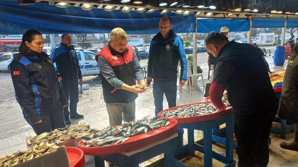 Bandırma’da Tezgâh Şaşkınlığı: “Uskumru” Sandık Balık Aslında Kolyoz Çıktı