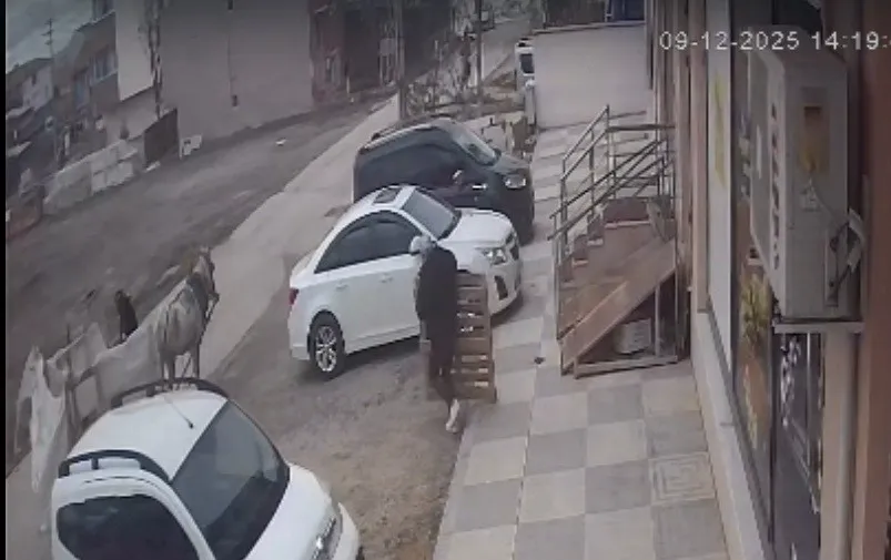 Eskişehir’de At Arabalı Hırsızlık Kamerada