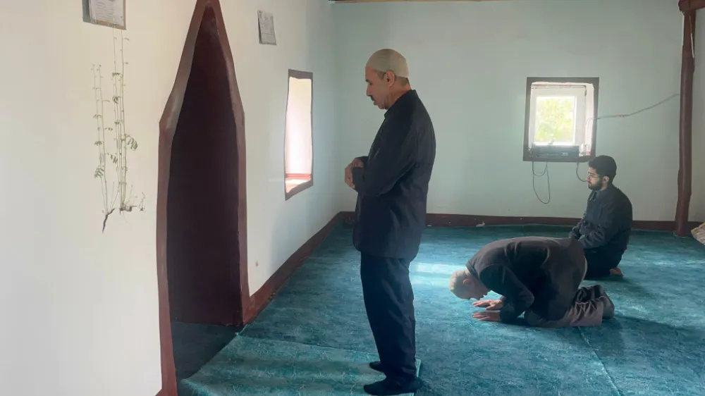 Diyarbakır’da cami duvarında mucizevi yeşeren bitki