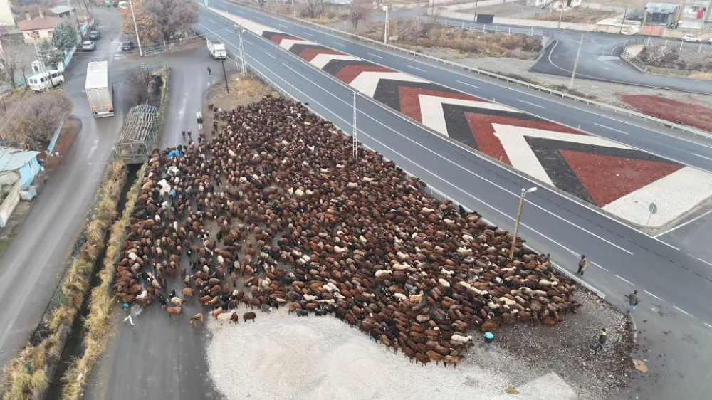 Iğdırlı Göçerler Zorlu Dönüş Yolculuğunu Tamamladı