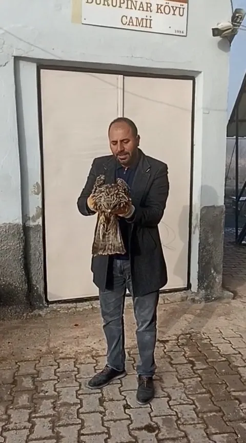 Elazığ’da yaralı kartal koruma altına alındı