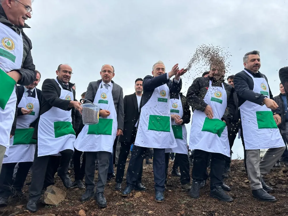 “Harmancık’ta Yanan 4 Bin Hektarlık Alan Ağaçlandırılıyor”