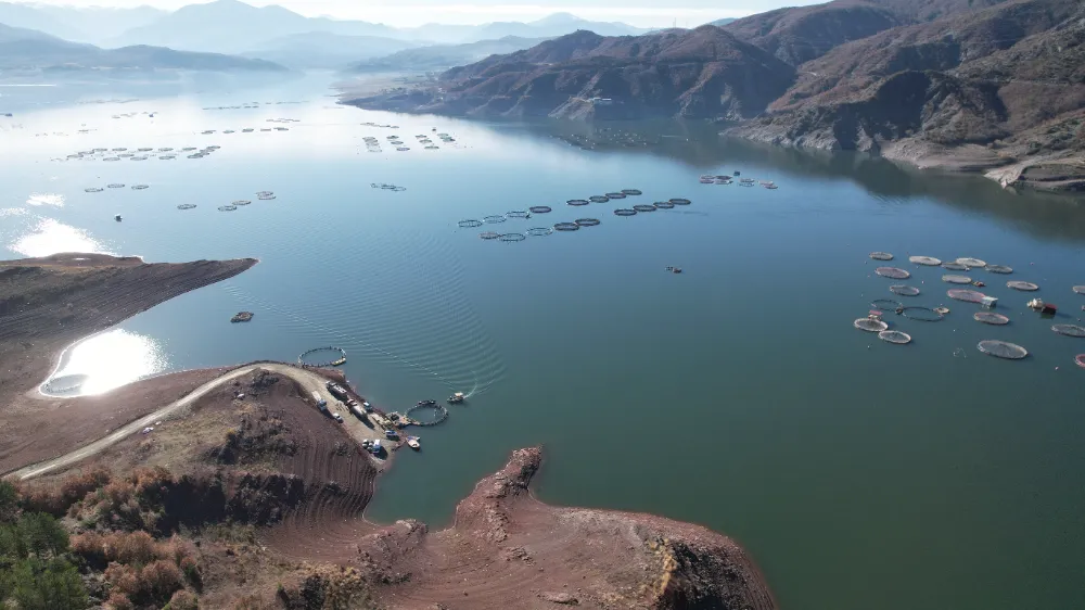 Denizi Olmayan Tokat’tan Dünyaya Somon İhracatı